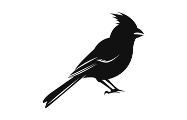 A Northern Cardinal Bird Silhouette vector isolated on a white background