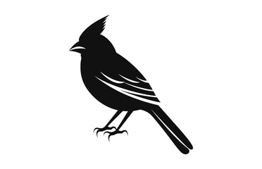 A Northern Cardinal Bird Silhouette vector isolated on a white background