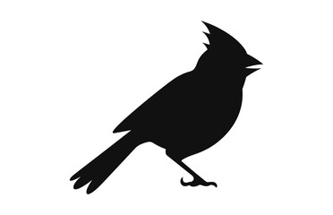A Northern Cardinal Bird Black Silhouette vector