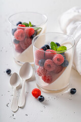 Tasty and homemade Panna Cotta made of berries and gelatin.