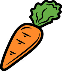 Hand drawn Carrot Vegetable Illustration