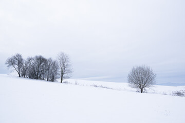 Fototapeta na wymiar Winter among agricultural fields in Lesser Poland