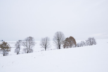 Winter among agricultural fields in Lesser Poland
