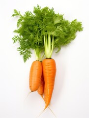 Fresh carrots with green leaves on a white background