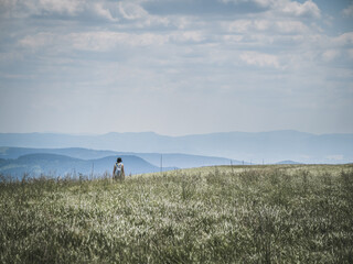 Fototapeta premium Young woman from behind rear view hiking backpacking trekking in the mountains, summer, Slovakia, Velka Fatra