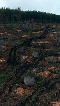 Vertical Video of Deforestation Aerial View