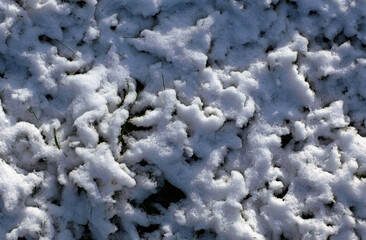 Schnee