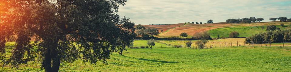 Arable field with trees in autumn. Rural landscape Horizontal banner © vvvita