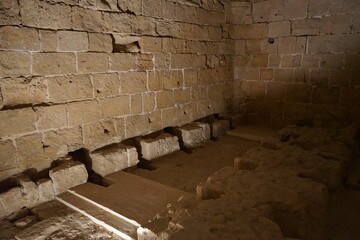 medieval latrine