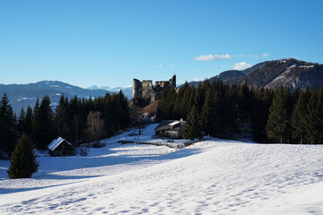 Fototapeta na wymiar Ruin Steinschloss in Styria, Austria in Winter 