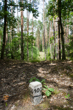 Dirt road in a forest with a stone location  marker visible