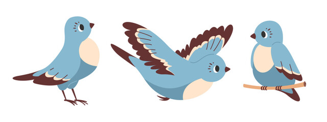 Dove bird flies with its wings spread, sitting on branch. Blue birdie standing and looking away. Vector flat illustration set.