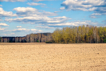 Plowed field, trees with green leaves, and a blue sky with clouds.