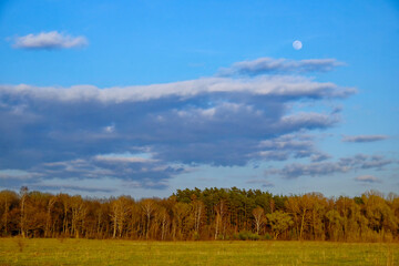 The moon is visible in the daytime sky above a lush green field and dense woodland.