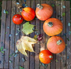 Pumpkins gathered from a garden, on a wooden table, with some autumn leaves - 704380000