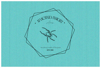 Minimal Logo for company - networking company with spider web.