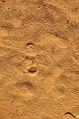 Footprint. Footprints man on the mud, sand soil. Human footprint on the earth, soil land. Track,...