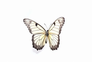 Fototapeta na wymiar beautiful butterfly isolated on white background. generative ai