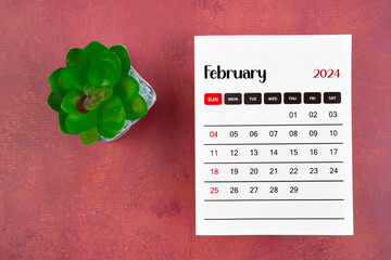 Calendar page for February 2024 and houseplant on retro background.