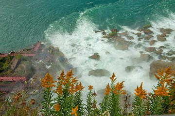 View of the raging water of Niagara Falls and the lush bloom of flowers on the cliff.