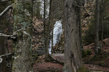 Fototapeta premium Landschaft im Schwarzwald, Todtnauer Wasserfall