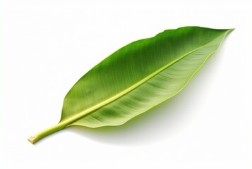 Obraz premium fresh banana leaves isolated on white background. generative ai