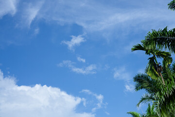 Fototapeta na wymiar blue sky with cloud, Cloud Background