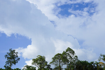 Obraz premium blue sky with cloud, Cloud Background