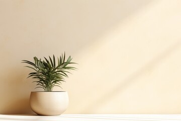 Minimalist abstract delicate light beige wall background with a plant on the floor in sunlight