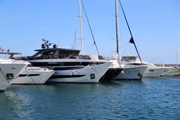 yachts in the marina