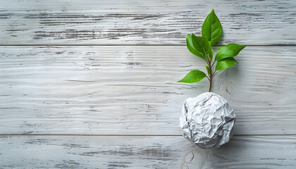 Eco, zero waste, plastic free and saving energy minimal concept from crumpled ball of paper and green sprout plant, which growing from this crumpled ball on white wooden table flat lay top view - obrazy, fototapety, plakaty
