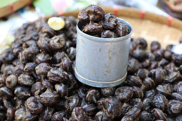 Pile of waternut or Chinese water chestnut in galvanized glass for sale in the market in the north of Thailand