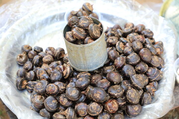 Pile of waternut or Chinese water chestnut in galvanized glass for sale in the market in the north of Thailand