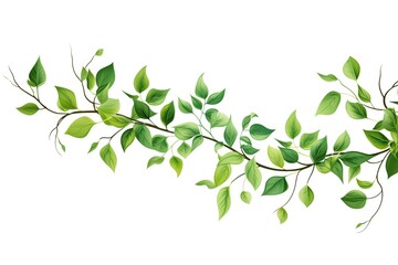 Obraz premium Illustration of tree branch with green leaves on white background