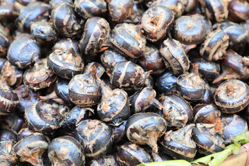 Pile of waternut or chinese water chestnut in for sale in the market in the north of thailand