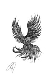 Phoenix - tattoo idea © Julia