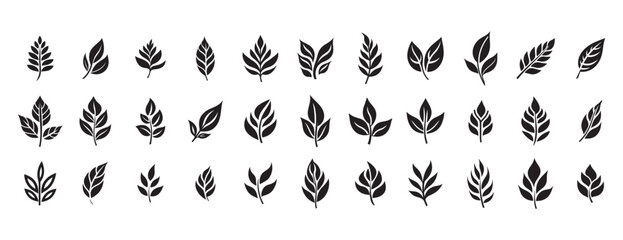 Set of leaves silhouette of beautiful plants, leaves, plant design. Vector illustration. - obrazy, fototapety, plakaty