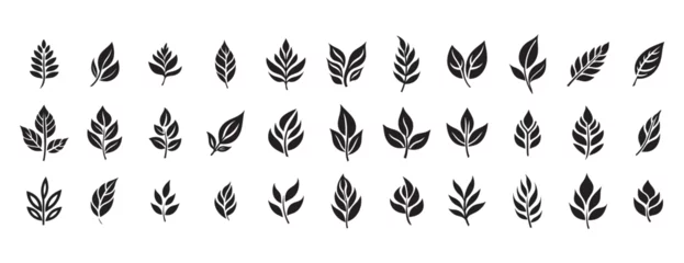 Fotobehang Set of leaves silhouette of beautiful plants, leaves, plant design. Vector illustration. © Tran