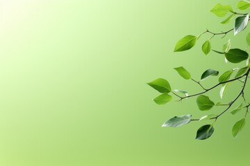 Background with green leaves