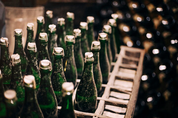Sparkling wine bottles fermented in a winery