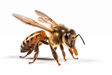 Fotobehang honey bee isolated on white background. generative ai © LivroomStudio