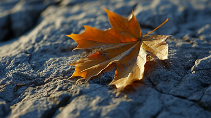 autumn leaves on the ground