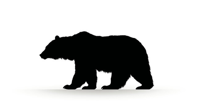 Silhouette of bear isolated on white Background