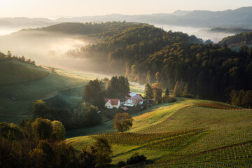 Morgenstimmung in Slowenien