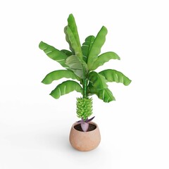 3D rendering of a potted plant on a white background