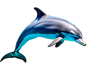 Delfin isoliert auf weißen Hintergrund, Freisteller 