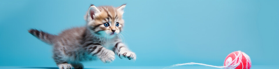 Fototapeta premium A banner with a cute playful kitten chasing a red ball of yarn on a blue background.