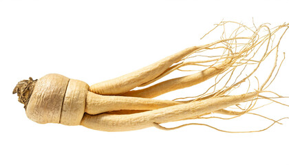 Ginseng isoliert auf weißem Hintergrund, Freisteller 