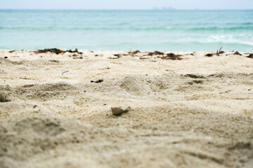 The sea beach in summer is very beautiful.