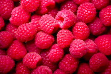 Abundant Raspberry Bounty: Vibrant Background